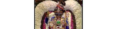 48. திருப்பாடகம் (பாண்டவ தூதர் கோயில்)